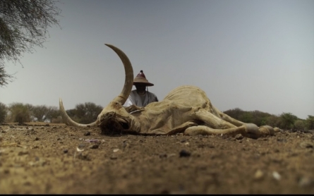 Senegal drought leaves many without food and water